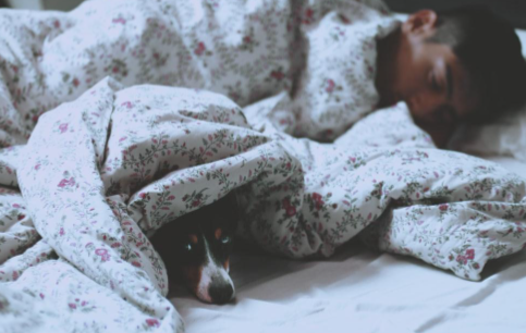 un hombre con un perro