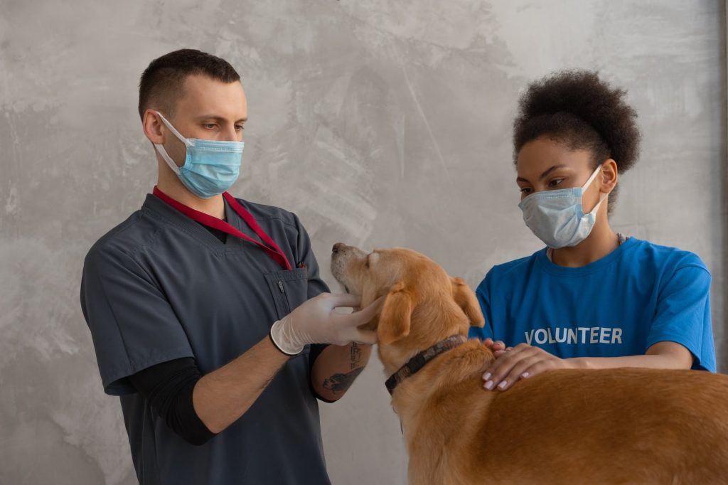 3 Tips for Starting a Veterinary Practice
