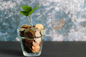 monedas y planta en gladss